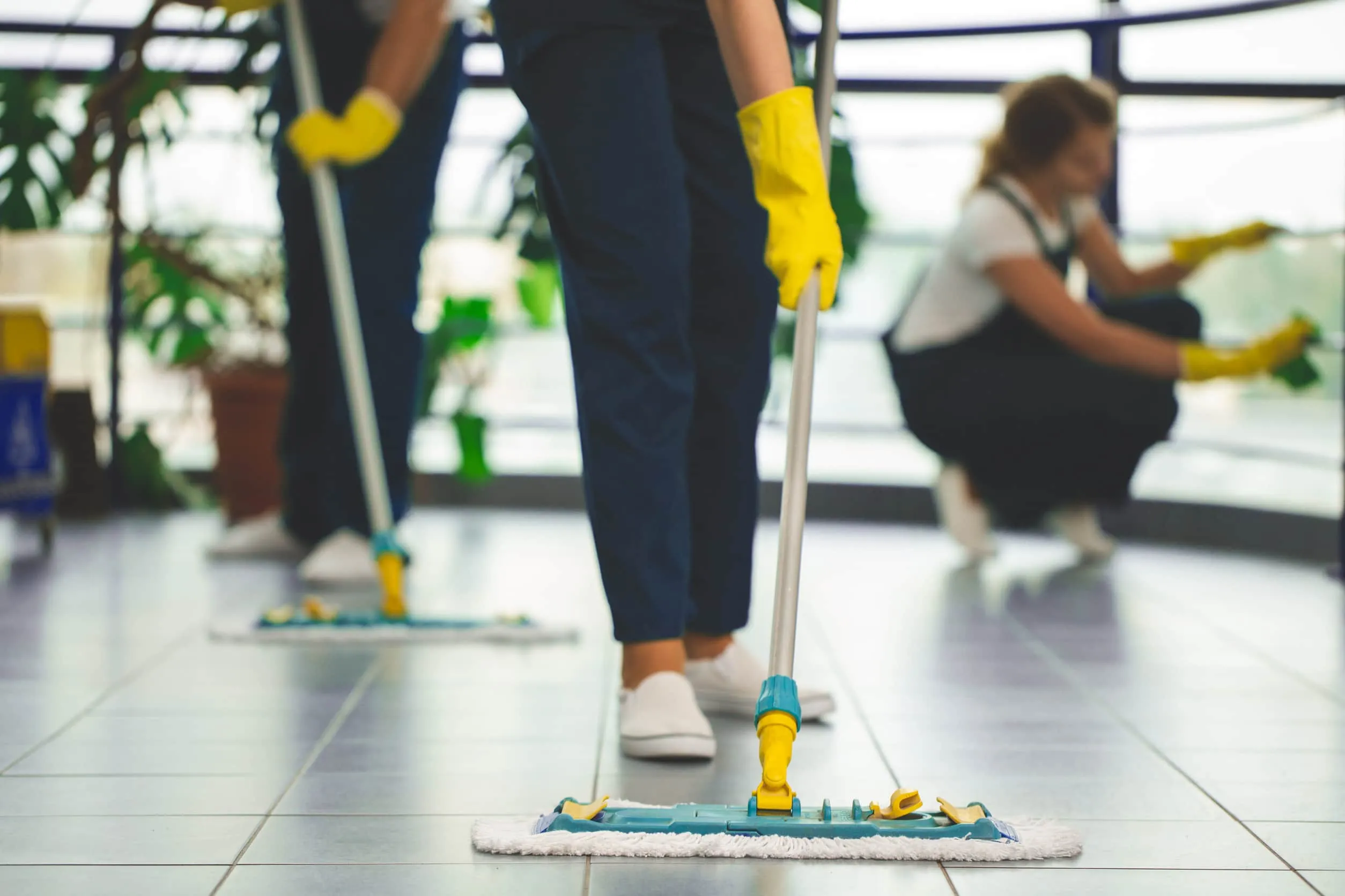 Main Team Cleaning Image 2